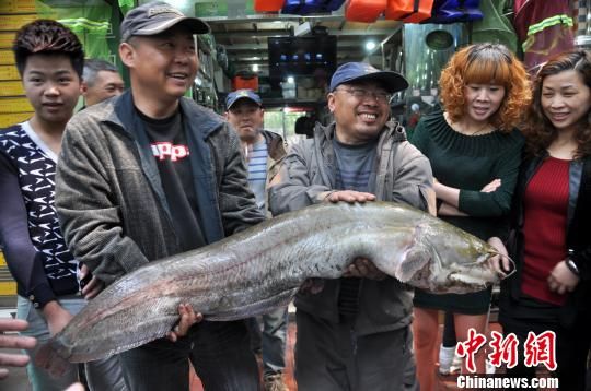 钓者展示成果 朱茂 摄