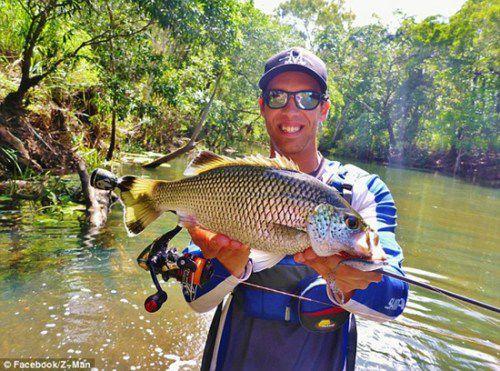 绿色树蛙栖息大鱼嘴中 神情酷似人类微笑(图)