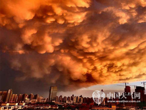 昨天18时左右，雨停风住，天津漫天云彩被夕阳染成金黄一片，美丽迷人。吴迪 董滨赫/摄
