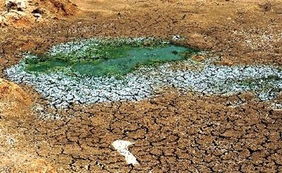 昨日中午，白沙镇，路边因久旱而干枯的鱼塘。