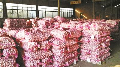 韩国退回中国大蒜 通知显示与化学品残留无关