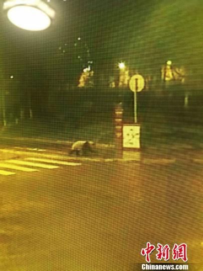 监控视频图像。 钟欣 摄