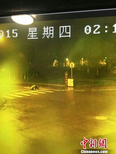 监控视频图像。 钟欣 摄